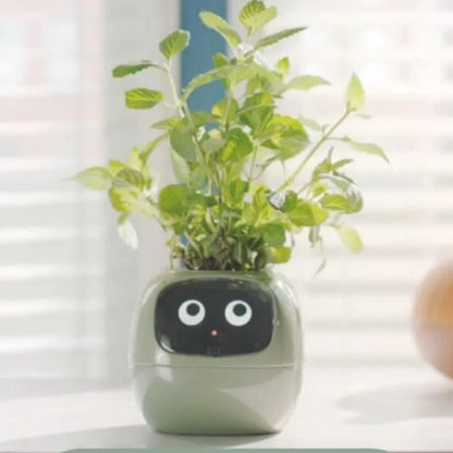 SmartPet Pot